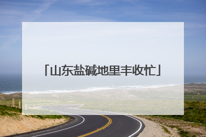 山东盐碱地里丰收忙