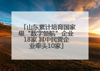 山东累计培育国家级“数字领航”企业18家 其中民营企业牵头10家