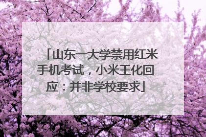 山东一大学禁用红米手机考试，小米王化回应：并非学校要求
