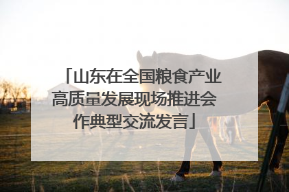 山东在全国粮食产业高质量发展现场推进会作典型交流发言