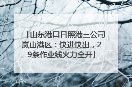 山东港口日照港三公司岚山港区：快进快出，29条作业线火力全开