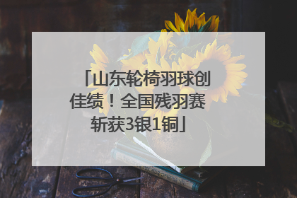 山东轮椅羽球创佳绩！全国残羽赛斩获3银1铜