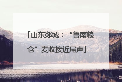 山东郯城：“鲁南粮仓”麦收接近尾声