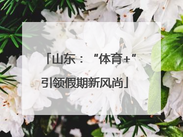 山东：“体育+”引领假期新风尚