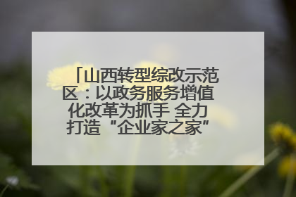 山西转型综改示范区：以政务服务增值化改革为抓手 全力打造“企业家之家”贴心服务体系