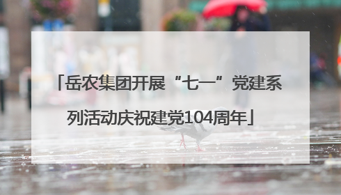 岳农集团开展“七一”党建系列活动庆祝建党104周年