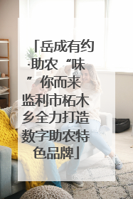 岳成有约·助农“味”你而来 监利市柘木乡全力打造数字助农特色品牌