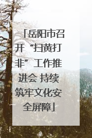 岳阳市召开“扫黄打非”工作推进会 持续筑牢文化安全屏障