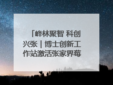 峰林聚智 科创兴张｜博士创新工作站激活张家界莓茶产业新动能