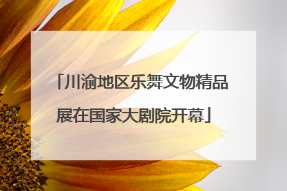 川渝地区乐舞文物精品展在国家大剧院开幕