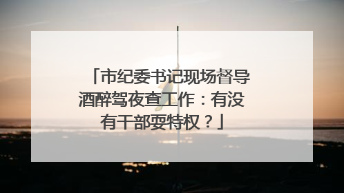 市纪委书记现场督导酒醉驾夜查工作：有没有干部耍特权？