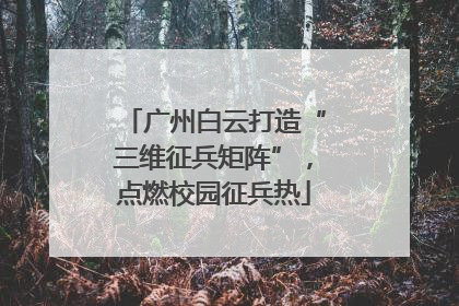 广州白云打造“三维征兵矩阵”，点燃校园征兵热