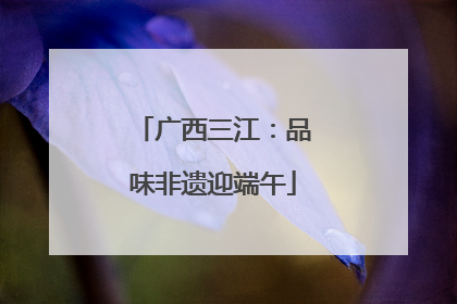 广西三江：品味非遗迎端午