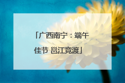广西南宁：端午佳节 邕江竞渡
