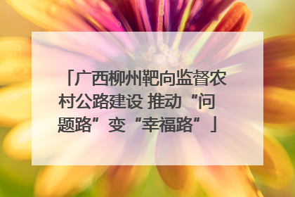 广西柳州靶向监督农村公路建设 推动“问题路”变“幸福路”