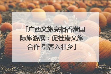 广西文旅亮相香港国际旅游展：促桂港文旅合作 引客入壮乡