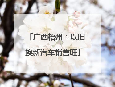 广西梧州：以旧换新汽车销售旺