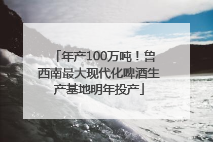 年产100万吨！鲁西南最大现代化啤酒生产基地明年投产