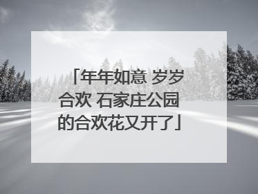 年年如意 岁岁合欢 石家庄公园的合欢花又开了
