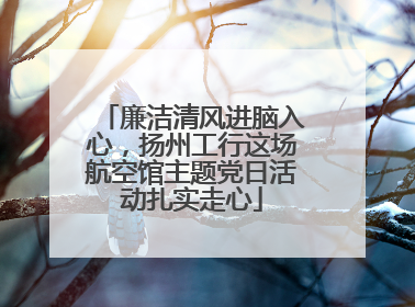 廉洁清风进脑入心，扬州工行这场航空馆主题党日活动扎实走心