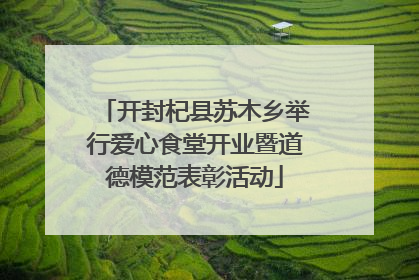开封杞县苏木乡举行爱心食堂开业暨道德模范表彰活动