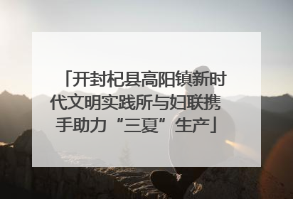 开封杞县高阳镇新时代文明实践所与妇联携手助力“三夏”生产