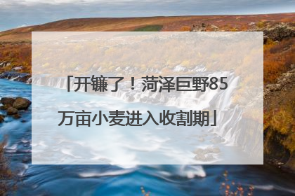 开镰了！菏泽巨野85万亩小麦进入收割期