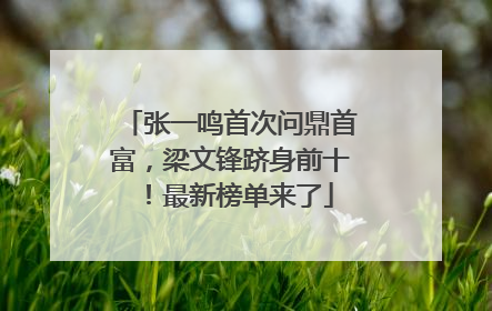 张一鸣首次问鼎首富，梁文锋跻身前十！最新榜单来了