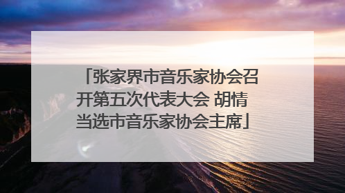 张家界市音乐家协会召开第五次代表大会 胡情当选市音乐家协会主席
