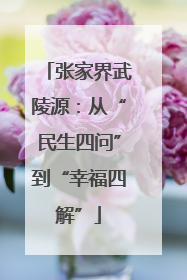 张家界武陵源：从“民生四问”到“幸福四解”