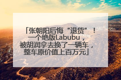 张朝阳后悔“退货”！一个绝版Labubu，被胡润拿去换了一辆车，整车原价值上百万元
