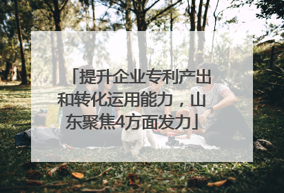 提升企业专利产出和转化运用能力，山东聚焦4方面发力