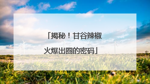 揭秘！甘谷辣椒火爆出圈的密码