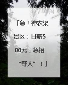 急！神农架景区：日薪500元，急招“野人”！