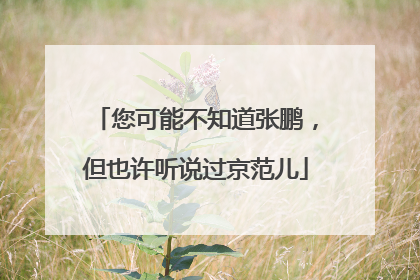 您可能不知道张鹏，但也许听说过京范儿