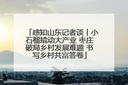 感知山东记者谈丨小石榴撬动大产业 枣庄破局乡村发展难题 书写乡村共富答卷