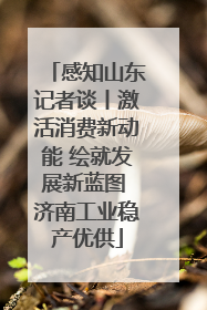 感知山东记者谈丨激活消费新动能 绘就发展新蓝图 济南工业稳产优供
