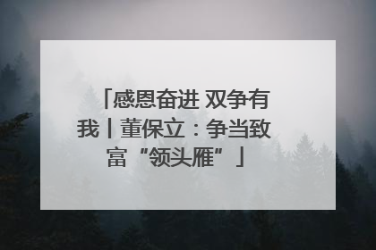 感恩奋进 双争有我丨董保立：争当致富“领头雁”