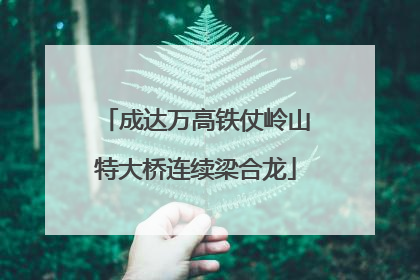 成达万高铁仗岭山特大桥连续梁合龙
