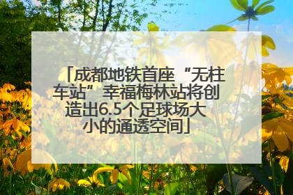 成都地铁首座“无柱车站”幸福梅林站将创造出6.5个足球场大小的通透空间