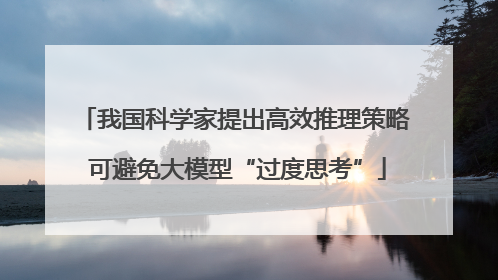 我国科学家提出高效推理策略 可避免大模型“过度思考”