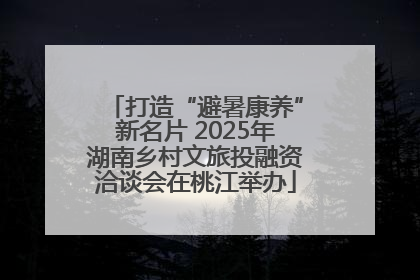 打造“避暑康养”新名片 2025年湖南乡村文旅投融资洽谈会在桃江举办