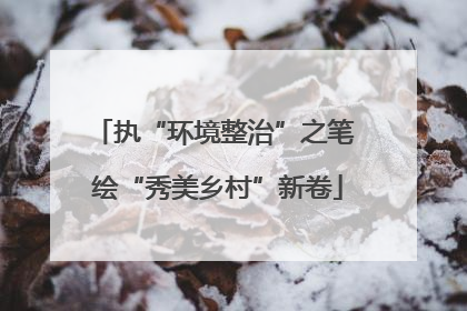 执“环境整治”之笔 绘“秀美乡村”新卷