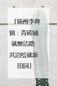 扬州李典镇：青砖铺就整洁路 共治绘就新田园