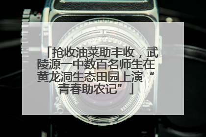 抢收油菜助丰收，武陵源一中数百名师生在黄龙洞生态田园上演“青春助农记”