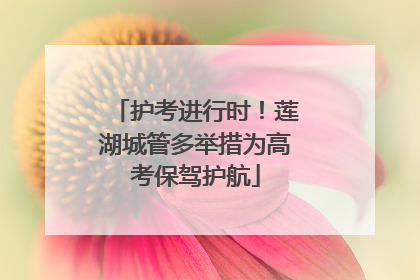 护考进行时！莲湖城管多举措为高考保驾护航