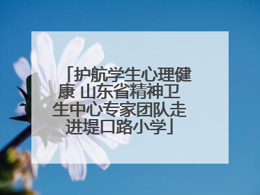 护航学生心理健康 山东省精神卫生中心专家团队走进堤口路小学