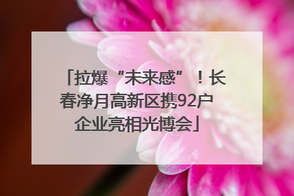 拉爆“未来感”！长春净月高新区携92户企业亮相光博会