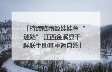 持续降雨致娃娃鱼“迷路” 江西金溪县干群联手助其重返自然