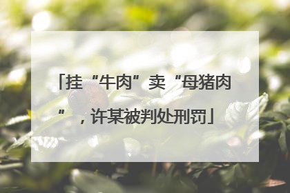 挂“牛肉”卖“母猪肉”，许某被判处刑罚